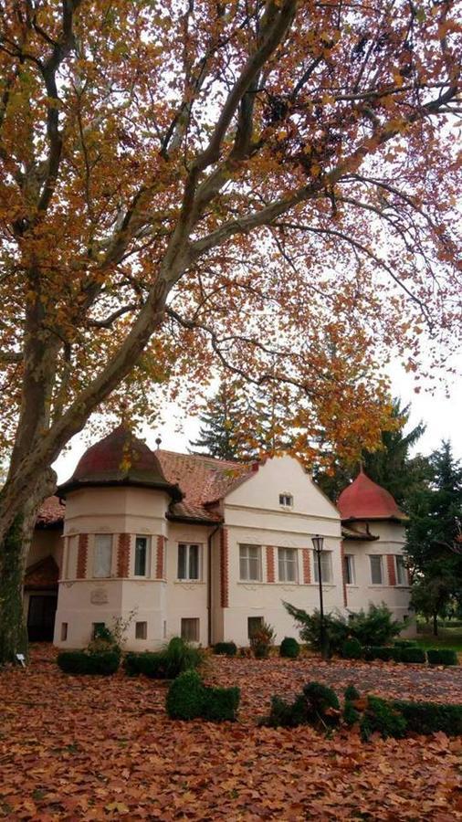 Kastelyszallo Mateszalka Bed and Breakfast Eksteriør billede